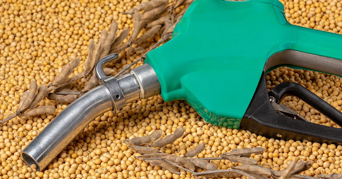 Diesel fuel nozzle and soybeans